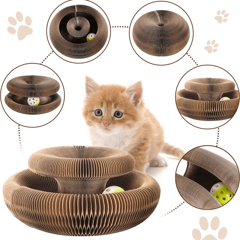 Brinquedo Interativo Para Gatos I Cat Joy + 1 Bola de Brinde - oi@lojaslovic.com