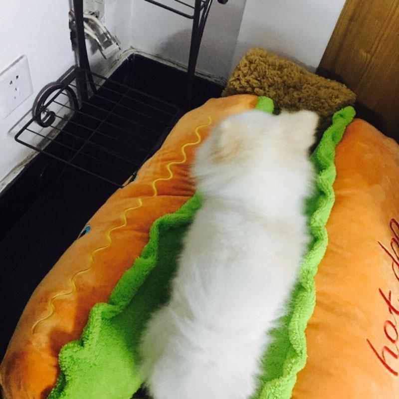 Cama para Pets - Hot Dog - oi@lojaslovic.com