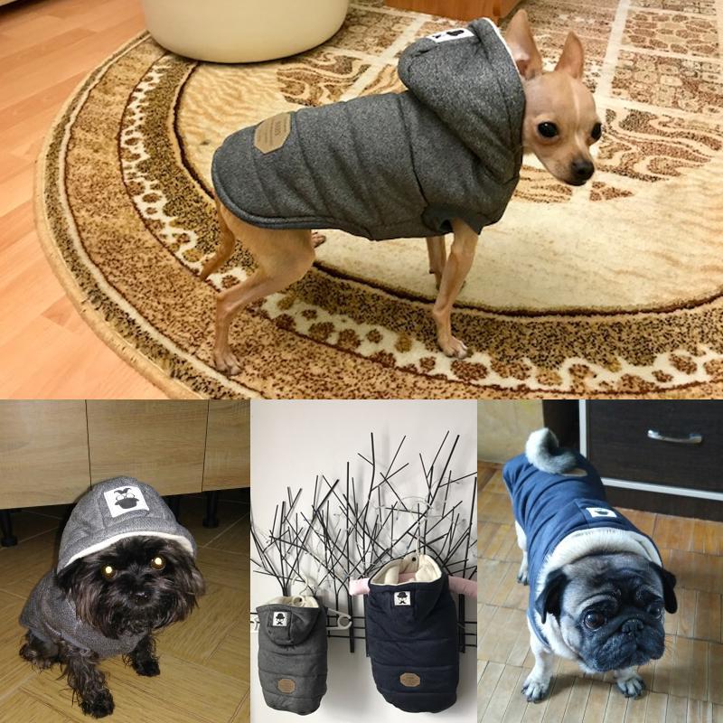 Colete de Inverno para Cachorros | Gentleman - oi@lojaslovic.com