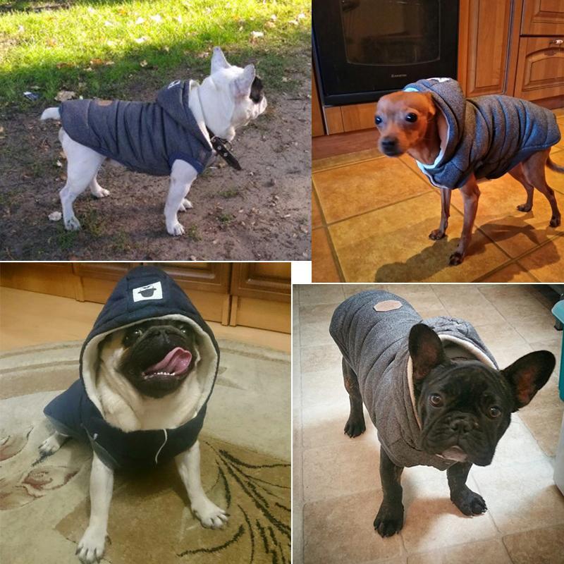 Colete de Inverno para Cachorros | Gentleman - oi@lojaslovic.com