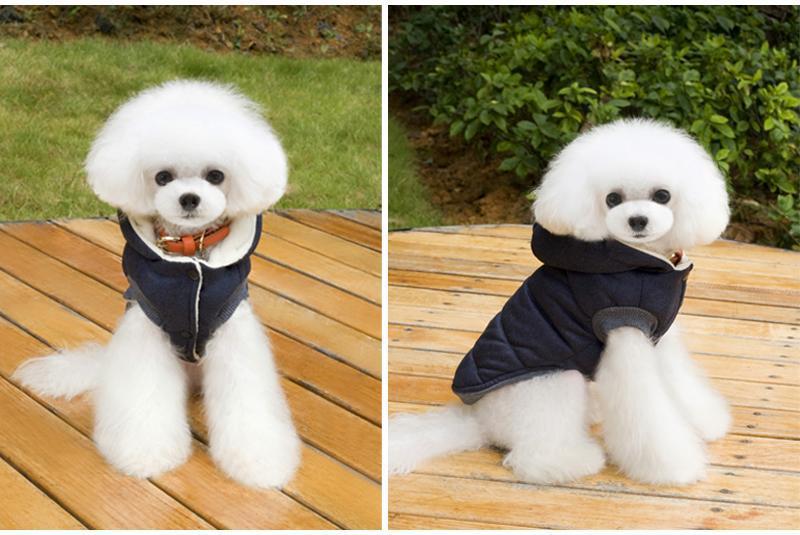 Colete de Inverno para Cachorros | Gentleman - oi@lojaslovic.com